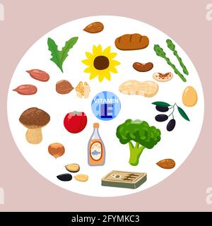 Ensemble de sources naturelles d'origine de la vitamine K. Aliments sains de journal, légumes verts, baies, poisson, champignons, œufs. Produits diététiques biologiques, naturels Illustration de Vecteur