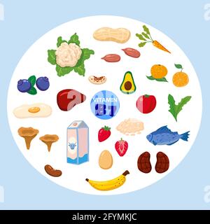 Ensemble de sources naturelles d'origine de la vitamine B7. Alimentation journal saine riche en biotine, viande, poisson, légumes, fruits, légumes. Produits diététiques biologiques, naturels Illustration de Vecteur