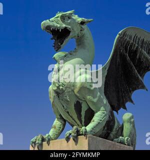 L'une des quatre dragons féroces avec des ailes étirées, des pieds clavetés et des fangs verts qui gardaient le pont du Dragon au-dessus de la rivière Ljubljana, en Slovénie. Ils figurent parmi les sites les plus populaires de la ville, en partie à cause de la revendication (non prouvée) selon laquelle ils se désalissent ou se remuent la queue chaque fois qu'une vierge traverse le pont. Les monstres mythiques, faits à Vienne de cuivre, ont été conçus par l'architecte et ingénieur Jurij Zaninović pour le pont, qui a ouvert en 1901. Le dragon est l'emblème officiel de Ljubljana, qui se présente sur les armoiries et le drapeau de la ville et même sur les couvercles de trous d'homme municipaux. Banque D'Images