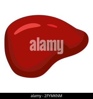 Viande de foie, bœuf ou porc, produit alimentaire sain naturel. Dessin animé plat à la main dessin à la main isolé Illustration de Vecteur