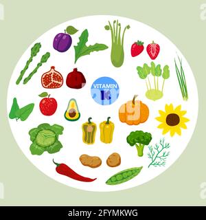 Ensemble de sources naturelles d'origine de la vitamine K. Nourriture saine de journal, légumes verts, fruits, baies. Produits diététiques biologiques, collection de nutrition naturelle Illustration de Vecteur