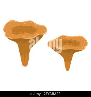 Musrooms, produit naturel de nutrition biologique saine, chanterelle. Dessin animé plat à la main dessin à la main isolé Illustration de Vecteur