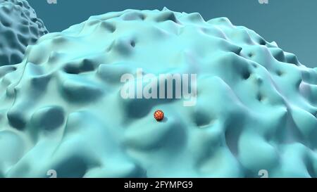 Cellule infectant les particules du coronavirus, illustration Banque D'Images