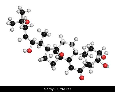 Prohormone de mue de l'insecte ecdysone, illustration Banque D'Images