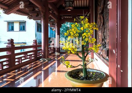 Printemps atmosphère animée au temple de prier avec les pèlerins pour la paix comme cette encens traditions ethniques le jour de l'an à Ho Chi Minh ville, Vietnam Banque D'Images