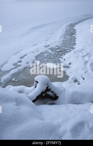 Chapfensee, Suisse - 30 décembre 2020 : souche enneigée sur les rives du lac gelé Chapfensee près de Mels dans le canton suisse de St.Gall Banque D'Images