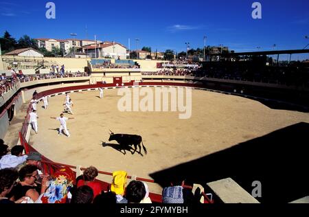 GARD (30) PETITE CAMARGUE (PETITE CAMARGUE) Banque D'Images