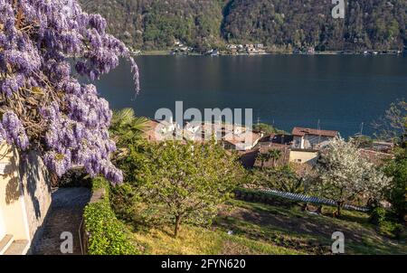 Le village pittoresque de Morcote au Tessin, au bord du lac de Lugano, est l'un des plus beaux villages de Suisse. Banque D'Images