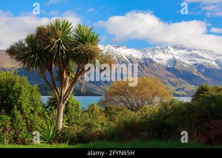 Vue sur le lac Wakatipu et les Alpes du Sud, Nouvelle-Zélande, en automne. Au premier plan se trouve un chou indigène, recouvert de fleurs Banque D'Images