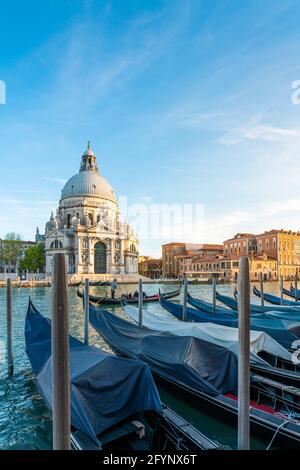 Gondoles et célèbre église Santa Maria della Salute, Venise, Italie Banque D'Images