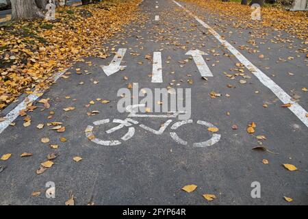 Piste cyclable marquée sur la chaussée asphaltée près de la chaussée avec une ligne pointillée blanche au milieu et deux flèches dans les directions opposées parsemées de jaune Banque D'Images