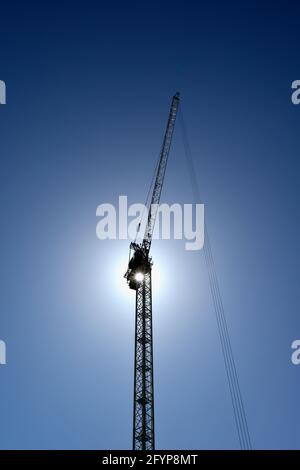 Tower Crane silhoueté contre un ciel bleu sans fin, travaux de construction, Londres, Royaume-Uni Banque D'Images