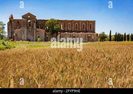 Les ruines de l'abbaye de San Galgano en Toscane Banque D'Images