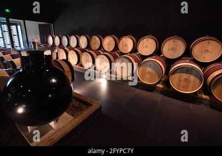 Illustrations de Saint Tropez et Ramatuelle. Château Minuty Grand cru, une entreprise familiale depuis 3 générations Saint Tropez, sud-est de la France, le 2021 mai. Photo de Christian Liewig/ABACAPRESS.COM Banque D'Images