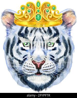 Illustration aquarelle d'un tigre blanc en couronne dorée Banque D'Images