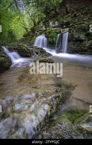 De belles cascades avec de l'eau claire au milieu d'une forêt Banque D'Images