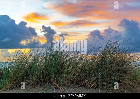 Sable d'été herbe de dunes au coucher du soleil avec la mer du Nord, Oostende (Ostende), Belgique Banque D'Images