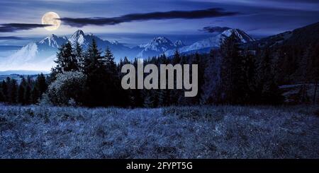 paysage de montagne composite en été la nuit. forêt d'épicéa dans la vallée en pleine lumière de lune. hauts sommets de la crête rocheuse au loin Banque D'Images