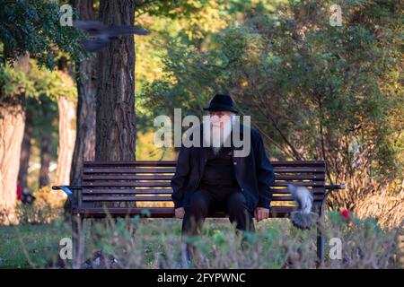 Timisoara, Roumanie - 10 octobre 2020 : homme assis sur un banc dans un parc. De vraies personnes. Pigeons en mouvement. Banque D'Images