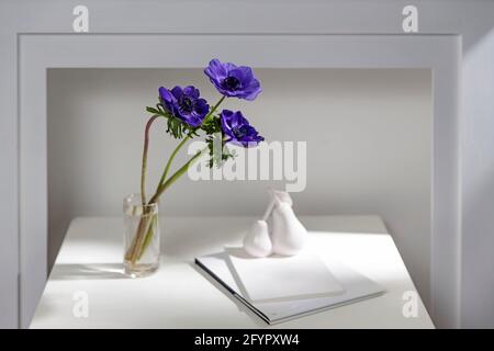 Trois anémones bleues dans un vase transparent sur une table blanche près de la cheminée. Carnet et album et figurine de deux poires. Tous les éléments sont en blanc. C Banque D'Images