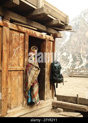 Kalash fille en robe païenne traditionnelle, village de montagne isolé de Bumburet, Kalasha Vallées, Hindu Kush, nord du Pakistan, hiver 2013 Banque D'Images