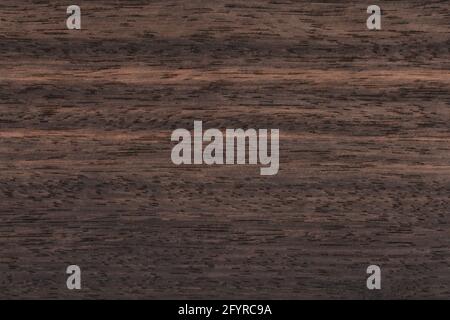 Texture de placage exotique noir ébène Banque D'Images