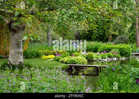 Des fleurs, des arbres et des arbustes colorés entourent le lac du jardin aquatique John Lewis Longstock Park sur le domaine de Leckford, Stockbridge, Hampshire Banque D'Images