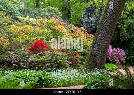 Des fleurs, des arbres et des arbustes colorés entourent le lac du jardin aquatique John Lewis Longstock Park sur le domaine de Leckford, Stockbridge, Hampshire Banque D'Images