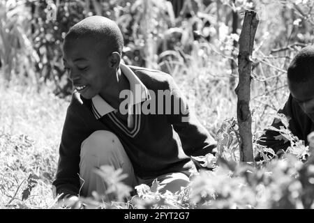 JOHANNESBURG, AFRIQUE DU SUD - 05 janvier 2021: Johannesburg, Afrique du Sud - les enfants des écoles apprennent l'agriculture et l'agriculture Banque D'Images