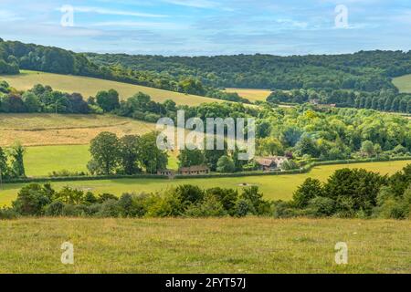 Watlington Hill, la Chilterns, Oxfordshire, Angleterre Banque D'Images