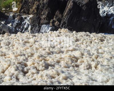 Une épaisse couche de mousse de mer s'est formée pendant un certain temps avec de forts vents et de grands vagues, remplissant la piscine de roche et barbotant sur les rochers, en Australie Banque D'Images