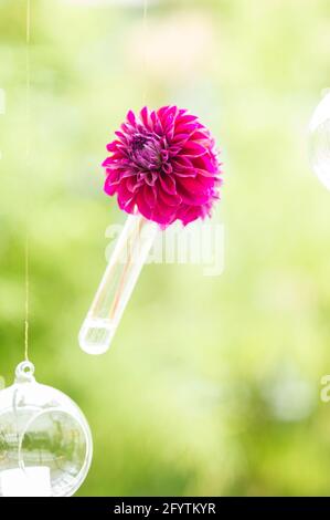 Une photo sélective de la belle décoration de mariage Banque D'Images
