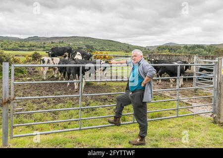 Ballingeary, Cork, Irlande. 29 mai 2021. En raison du mauvais temps et de la mauvaise croissance de l'herbe, l'agriculteur Seán Ó Suilleabhain continue de compléter son troupeau de taureaux Friesan d'année avec des noix à sa ferme à Ballingeary, Co. Cork, Irlande. . - crédit; David Creedon / Alamy Live News Banque D'Images