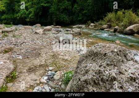 Un gros plan d'une rivière qui traverse la forêt dans les zones rurales de l'Inde. Banque D'Images