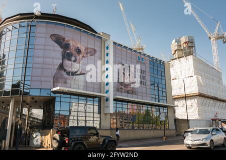 Battersea Dogs Accueil et nouveaux complexes immobiliers entourant le réaménagement de la Battersea Power Station, Londres, Angleterre, Royaume-Uni Banque D'Images