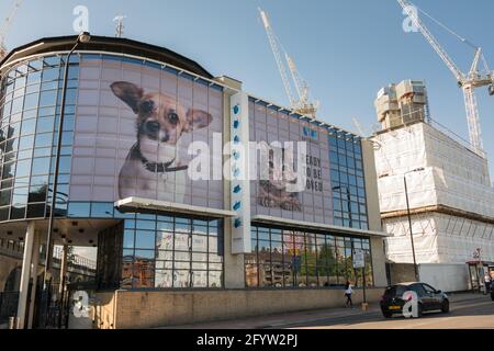 Battersea Dogs Accueil et nouveaux complexes immobiliers entourant le réaménagement de la Battersea Power Station, Londres, Angleterre, Royaume-Uni Banque D'Images