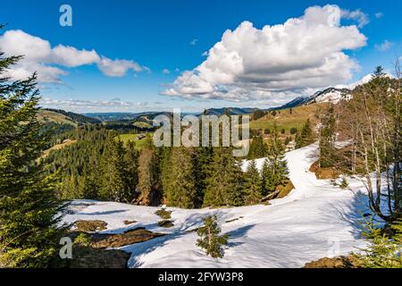 Belle randonnée en montagne le long de la piste premium Alpenfreiheit près d'Oberstaufen Steibis à Imberg Nagelfluhkette Banque D'Images