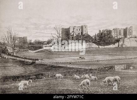 Vue de la fin du XIXe siècle sur le pâturage des moutons dans un champ à côté du château de Kenilworth, dans la ville de Kenilworth, dans le Warwickshire, en Angleterre. Fondée dans les années 1120 autour d'une puissante grande tour normande, et agrandie par le roi Jean au début du XIIIe siècle, elle a fait l'objet du siège de Kenilworth, qui a duré six mois, en 1266, considéré comme le plus long siège de l'histoire médiévale anglaise. Le château a joué un rôle historique important à travers l'histoire anglaise jusqu'à ce qu'il soit ruiné pendant la guerre civile anglaise du XVIIe siècle. Banque D'Images