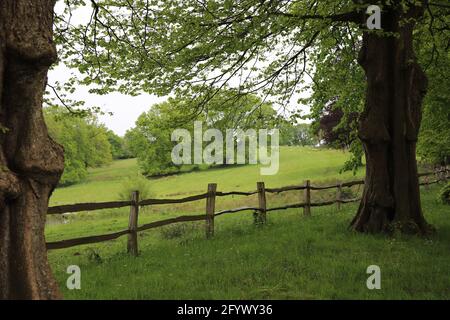 vue sur la campagne du sussex en été Banque D'Images