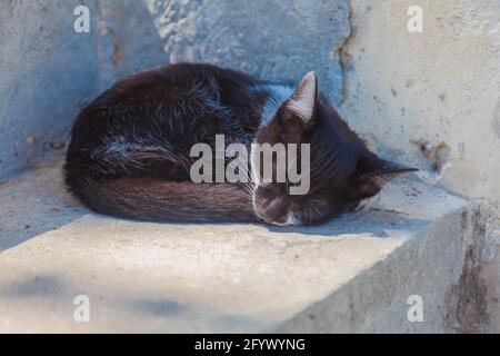 Un petit chat noir dormant sur les marches des escaliers se courbé dans une balle. Banque D'Images