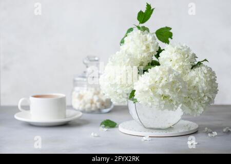 encore la vie avec une tasse de thé ou de café, un pot en verre de bonbons et un bouquet de fleurs blanches dans un vase. concept du matin d'été. image horizontale Banque D'Images