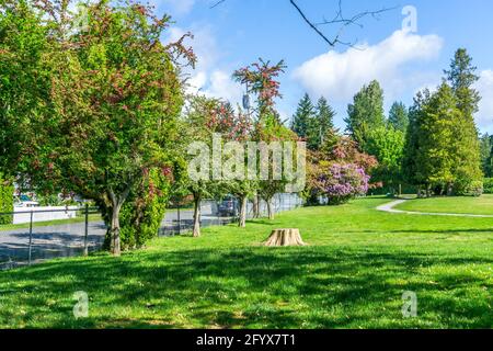 Une vue d'un parc de la ville avec fleurs en fleur au printemps. L'emplacement est Burien, Washington. Banque D'Images