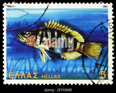 MOSCOU, RUSSIE - 27 SEPTEMBRE 2019 : timbre-poste imprimé en Grèce montre le Comber peint (Serranus scriba), les papillons, les coquillages et les poissons, la série cir Banque D'Images