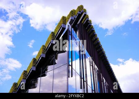 Bâtiment avec haies de charme sur le toit par Ingenhoven Architects - un projet pour rendre la ville plus verte. Les plantes servent de climatisation naturelle. Banque D'Images