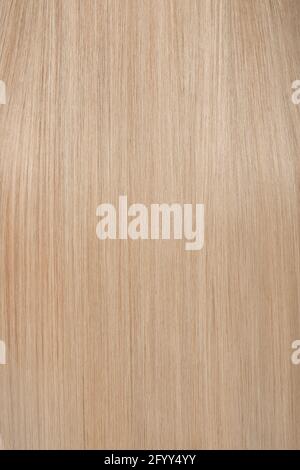 Gros plan sur des cheveux blond lisses et brillants, vue arrière Banque D'Images