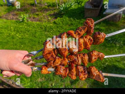 Main tient les brochettes avec kebabs frits sur fond d'herbe verte, viande grillée sur brochettes Banque D'Images