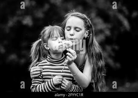 Deux filles soufflent des pissenlits dans Park. Photo en noir et blanc. Banque D'Images