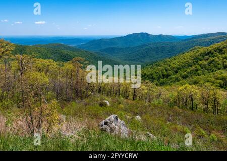 Printemps dans le parc national de Shenandoah Banque D'Images