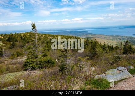 Cadillac Mountain dans le parc national Acadia au printemps Banque D'Images