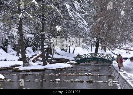 Vue d'hiver sur les sources de Kokernag et le jardin botanique, Cachemire. Pris pendant la période hivernale difficile de Chilla Kalan, en janvier 2021. Ce ressort alimente Banque D'Images